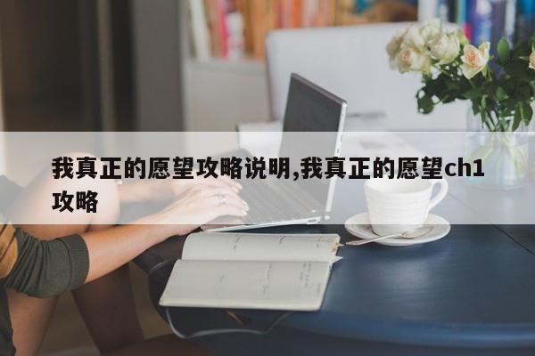 我真正的愿望攻略说明,我真正的愿望ch1攻略