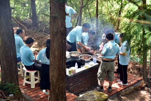 野炊拍照攻略游戏[野炊怎么拍照好看]