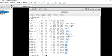 橙光游戏法医萌妃攻略[法医萌妃王爷要炸了全文免费阅读]