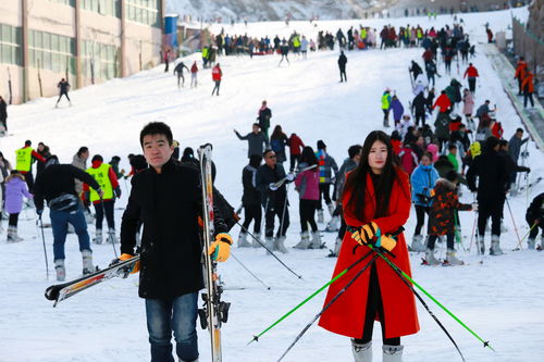 欢乐滑雪攻略游戏大全视频,欢乐冰雪