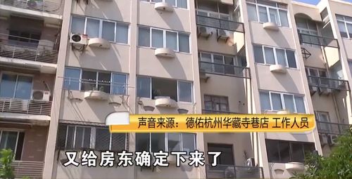 海淀租房攻略游戏推荐女生的简单介绍