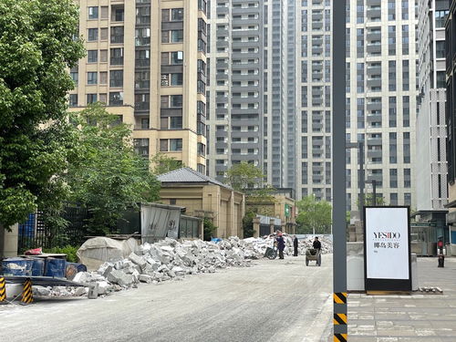 春申景城三期门口建什么,春申景城三期门口建什么小区