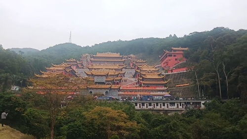 大岭山,大岭山森林公园观音寺