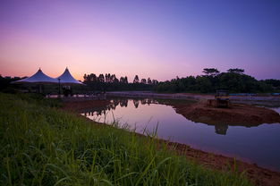 祈福新村倚湖湾,祈福新村倚湖湾平面图