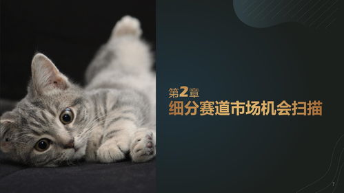 亚洲黑熊猫餐厅游戏攻略,熊猫亚洲餐厅2游戏