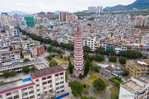 佛山中旅官网旅游,佛山中旅集团有限公司