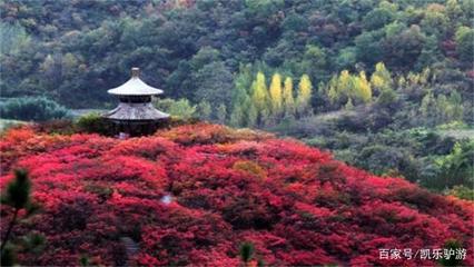 香山门票多少钱一张,香山的门票多少钱