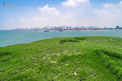 环东金茂悦粼湾,金茂悦云湾