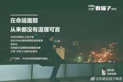 命运规则游戏耳机文案攻略,命运 规则书