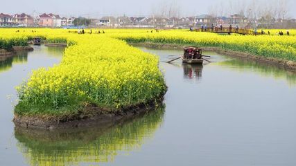 兴化,兴化市属于哪个市