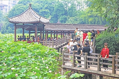 龙头寺公园游戏攻略视频,龙头寺公园营业时间