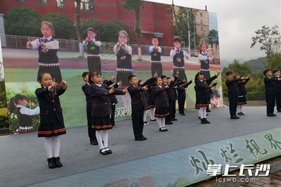 长沙麓山国际实验小学怎么样,长沙麓山国际实验小学怎么样排名