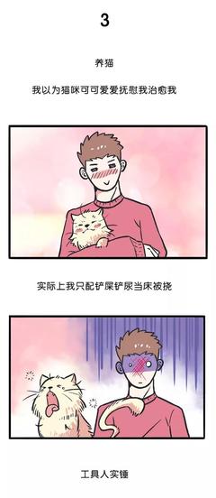 可可想养猫攻略游戏下载,可可小猫知乎