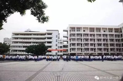 柳州城市职业学院学工网,柳州市城市职业学院学工网