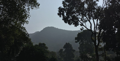 深圳仙湖植物园门票,深圳仙湖植物园门票团贿