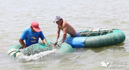 捕鱼赶海攻略游戏视频教学,捕鱼视频赶海捕鱼