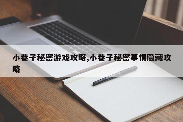 小巷子秘密游戏攻略,小巷子秘密事情隐藏攻略