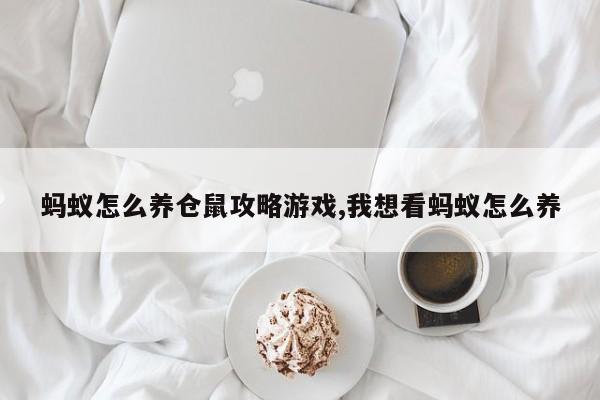 蚂蚁怎么养仓鼠攻略游戏,我想看蚂蚁怎么养