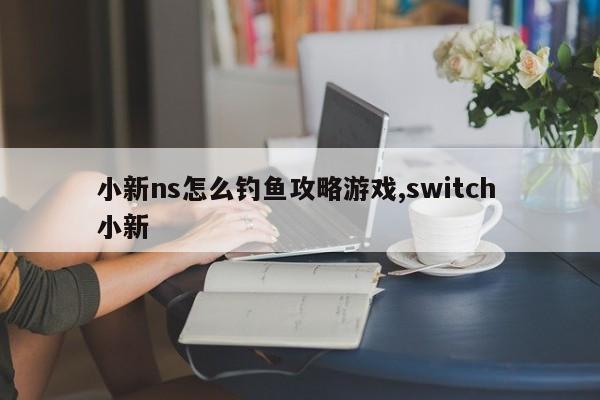 小新ns怎么钓鱼攻略游戏,switch 小新